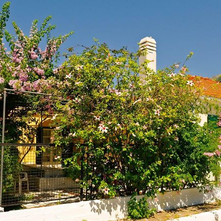 House With Garden Near The Sea Appartement Agia Efimia Buitenkant foto