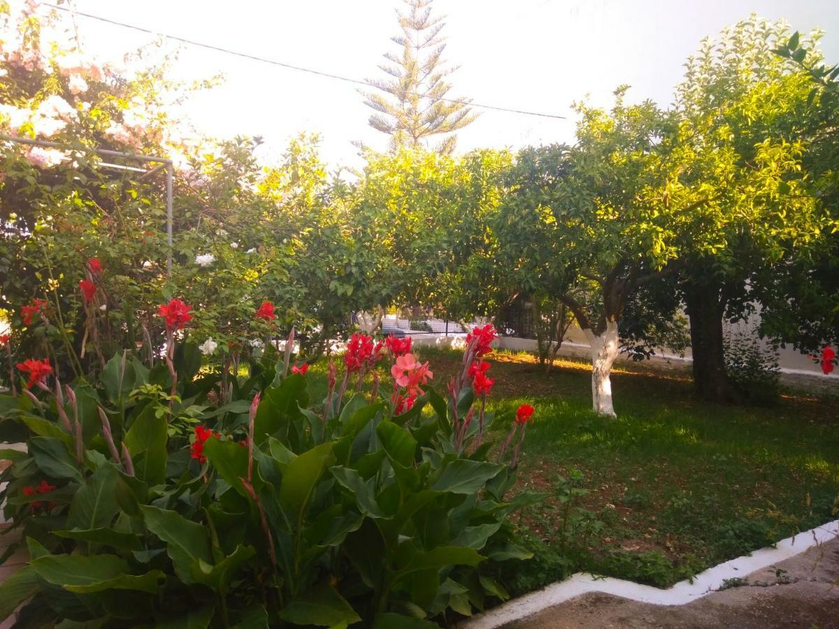 House With Garden Near The Sea Appartement Agia Efimia Buitenkant foto