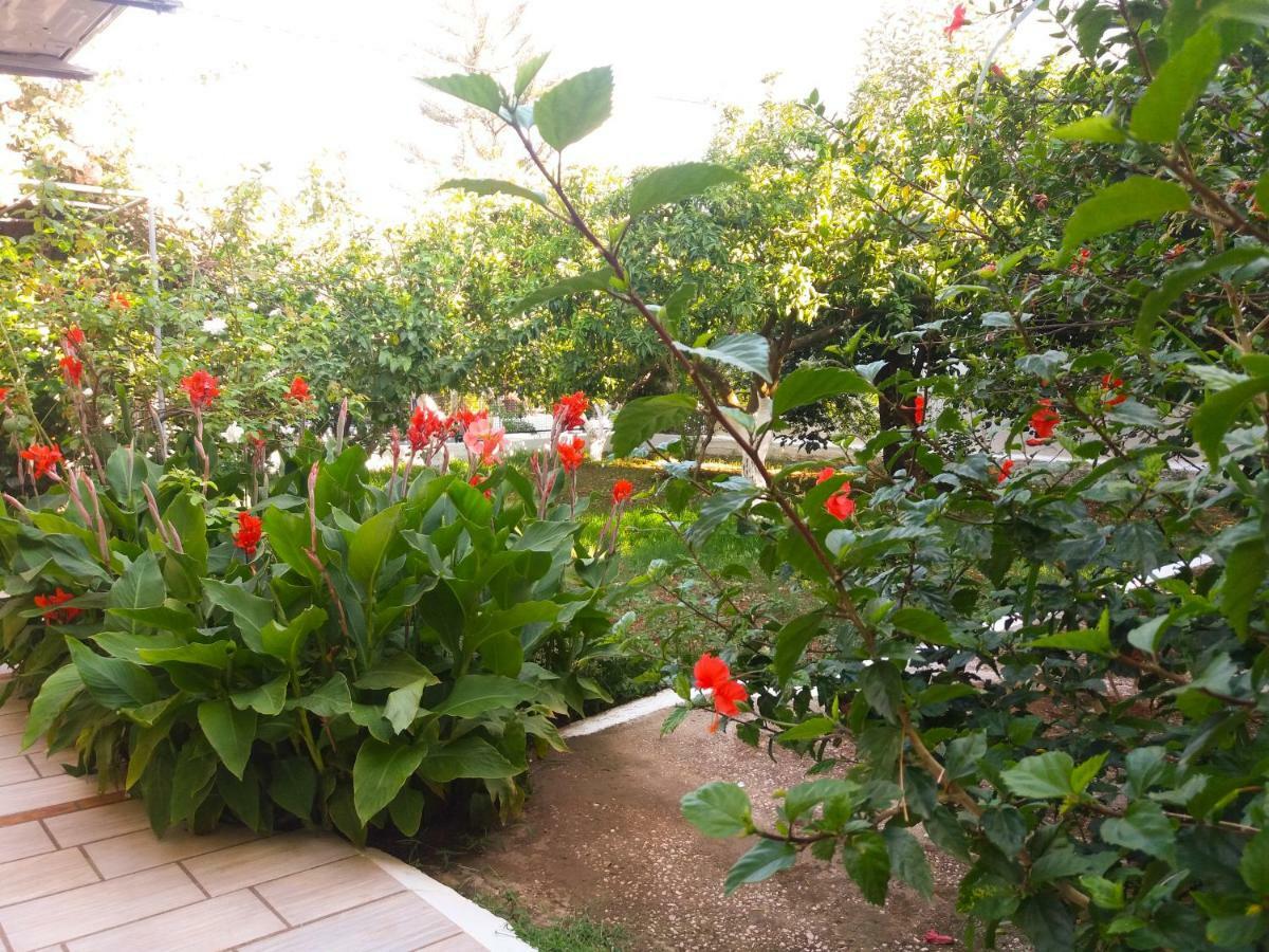 House With Garden Near The Sea Appartement Agia Efimia Buitenkant foto