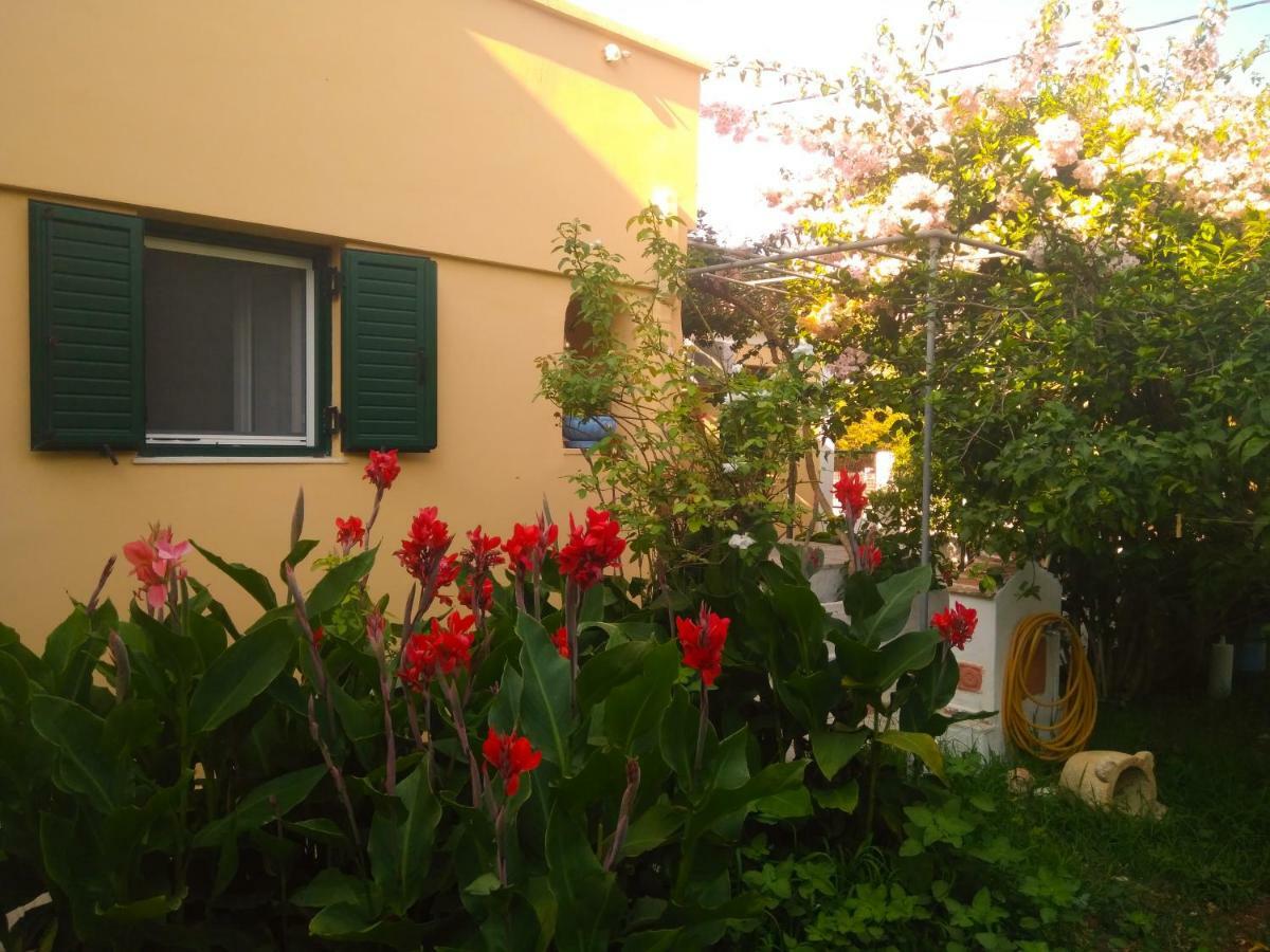 House With Garden Near The Sea Appartement Agia Efimia Buitenkant foto