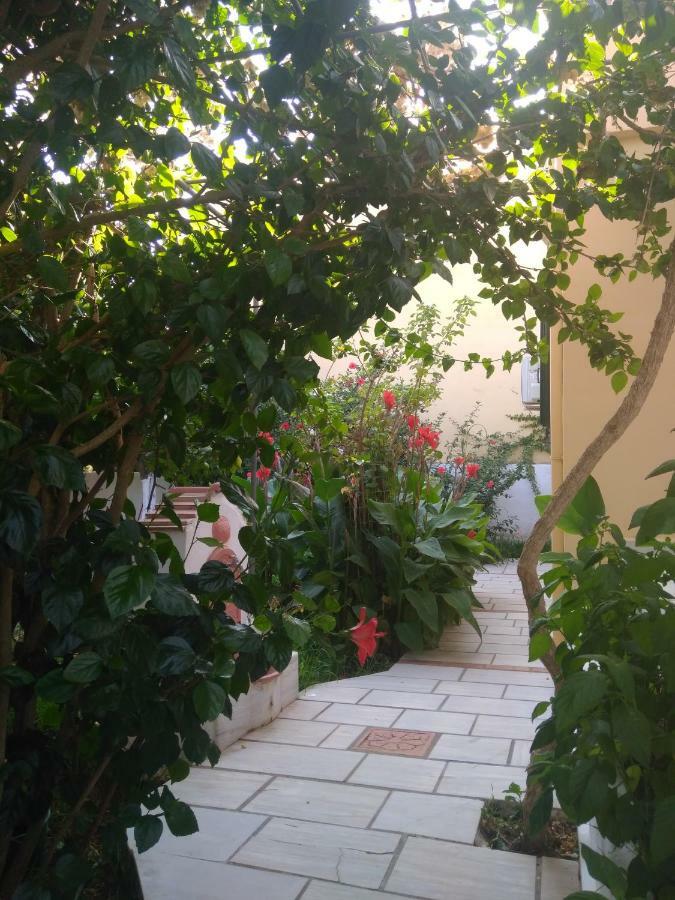House With Garden Near The Sea Appartement Agia Efimia Buitenkant foto